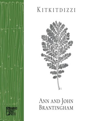 cover image of Kitkitdizzi